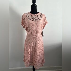 Eva Mendes for NY & CO, Lace Overlay, Cocktail Dress, Pale Pink, Sz 14, NEW!